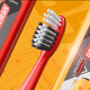 Dentalclean_Carros